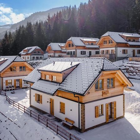 Chalet Pretzel Donnersbachwald Luaran gambar